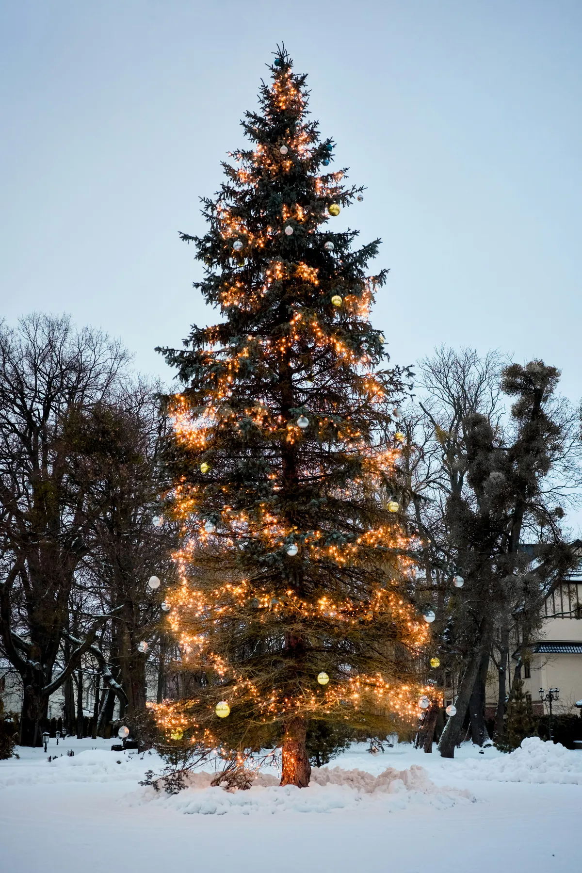 A decorated christmas tree in the snow