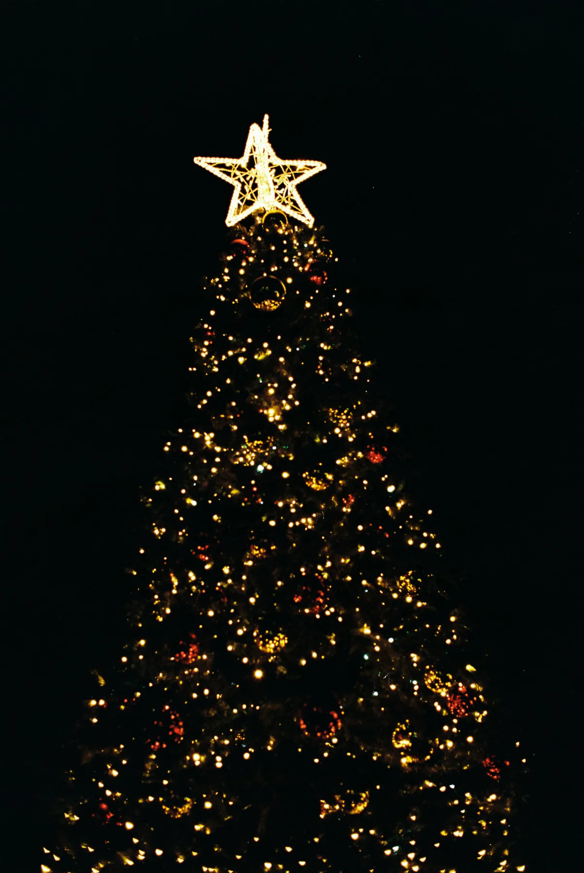 A decorated christmas tree with a star on top