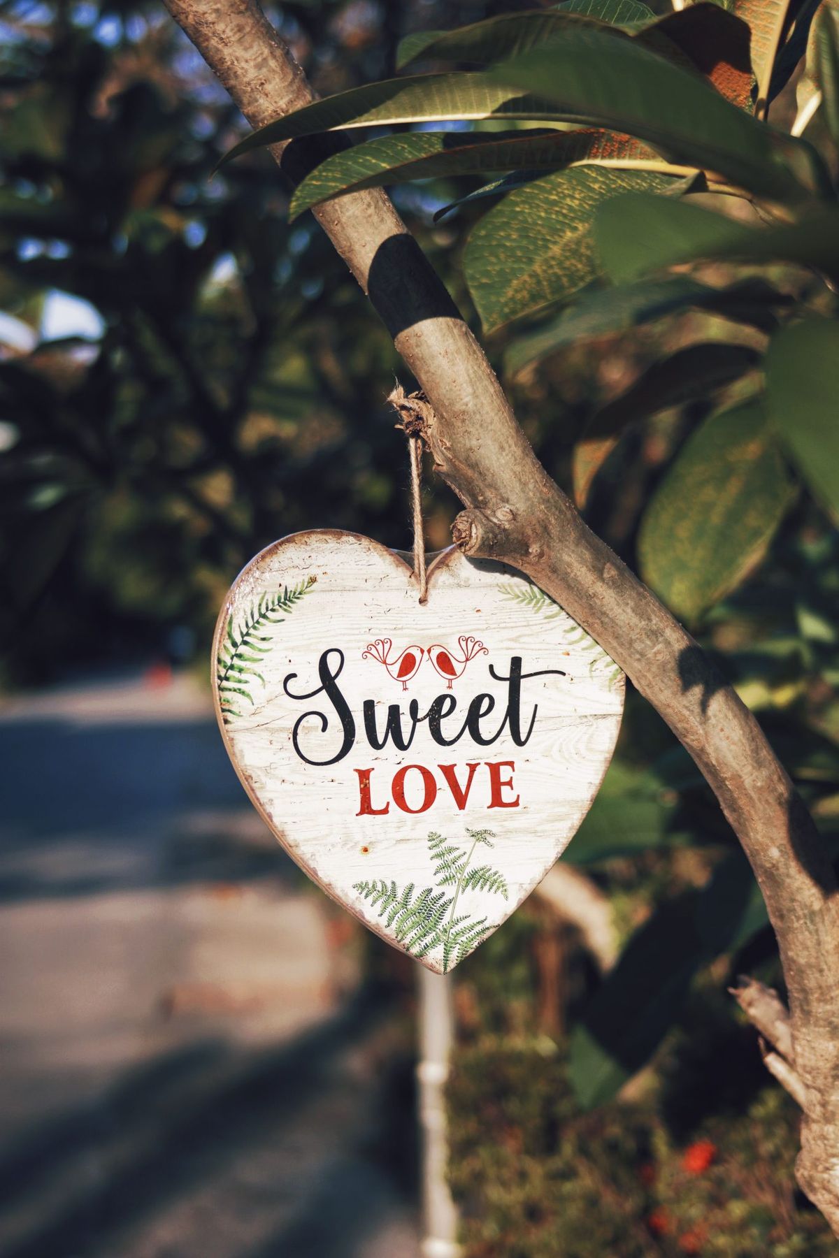 A heart-shaped wooden sign with 'Sweet Love' text hangs on a tree branch in a sunlit garden.