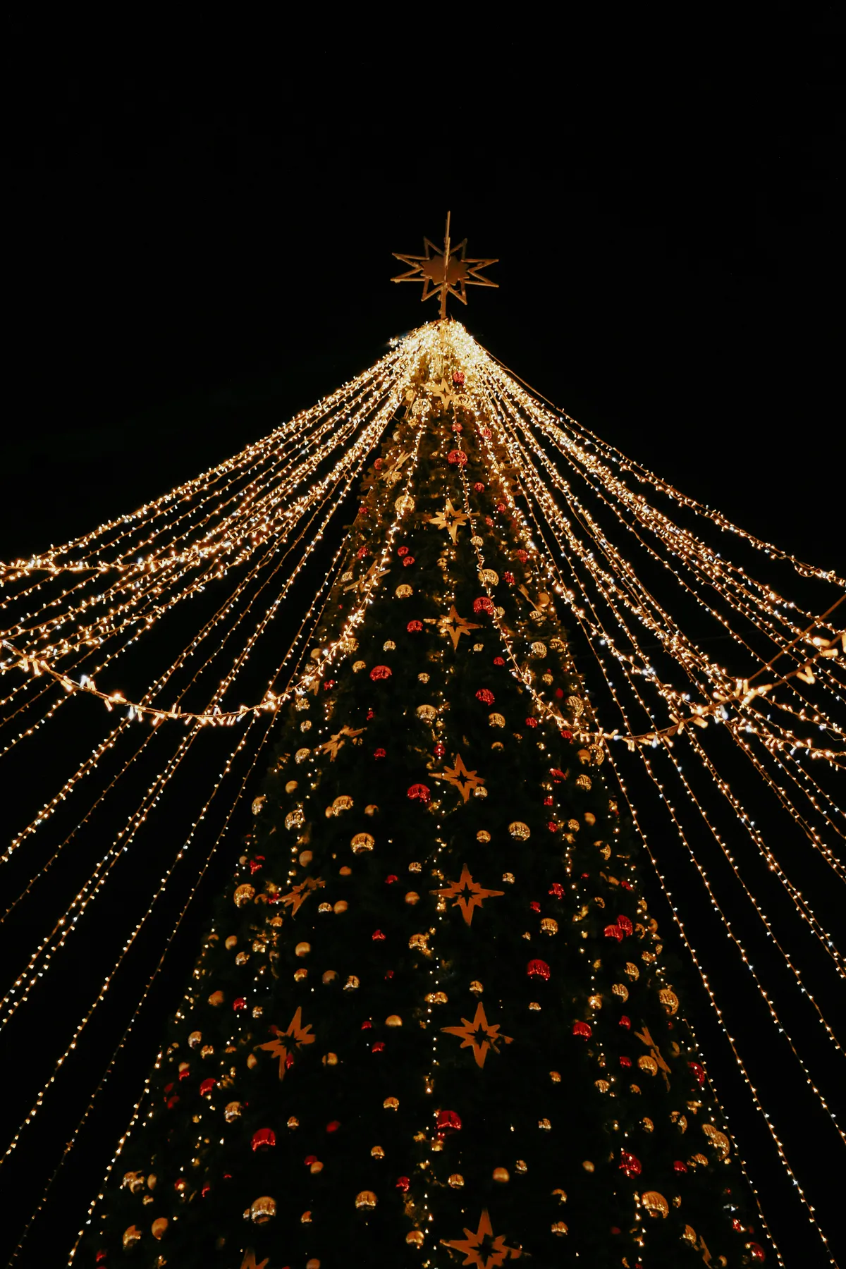 A lighted christmas tree with a star on top