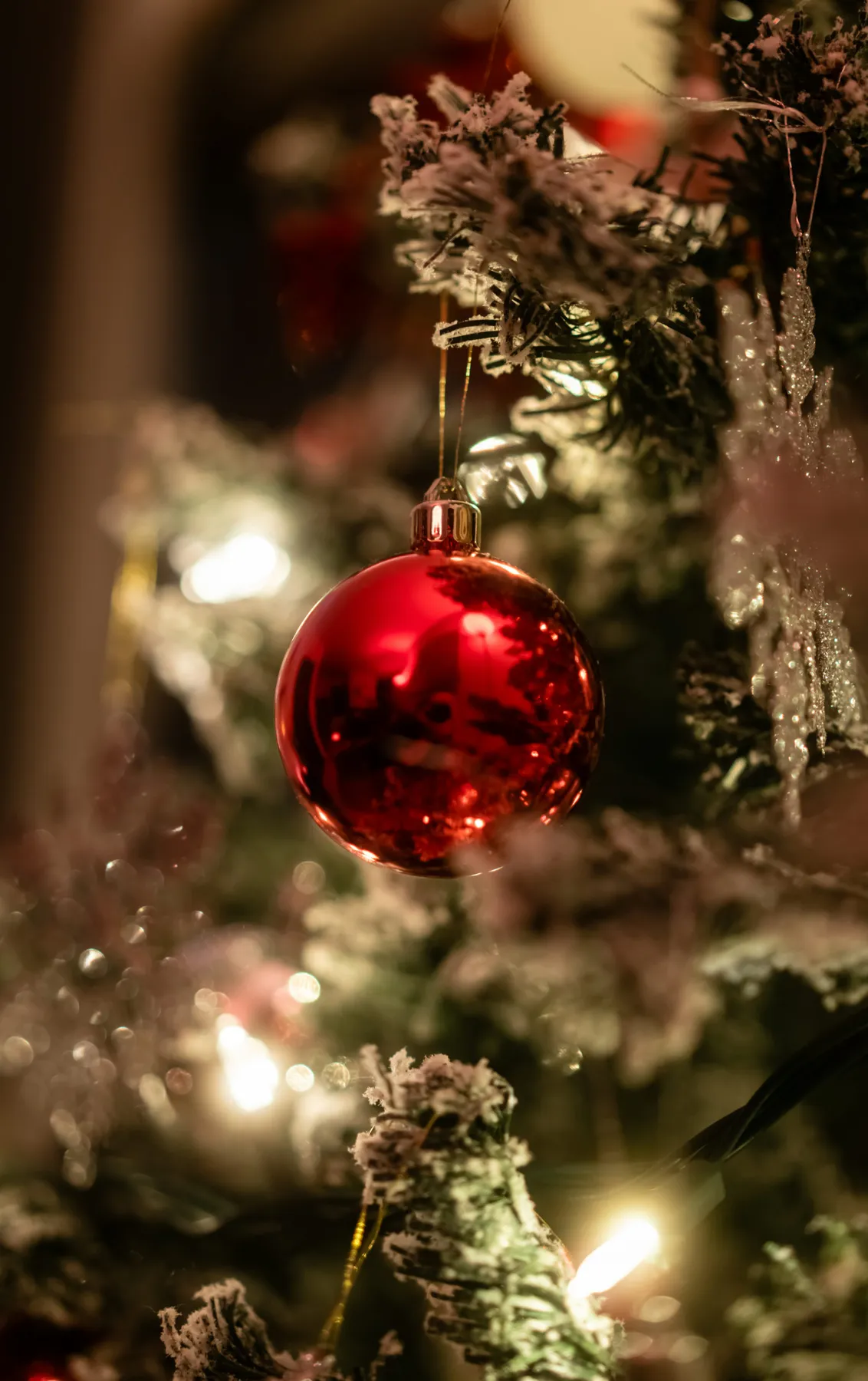 A red ornament hanging from a christmas tree - Free Photo on Unsplash