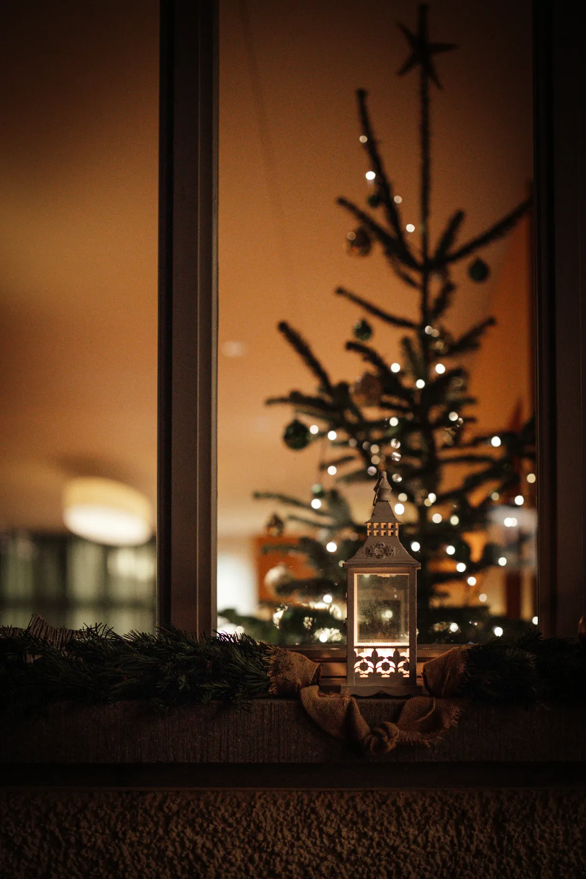 A small christmas tree in front of a window - Free Photo on Unsplash