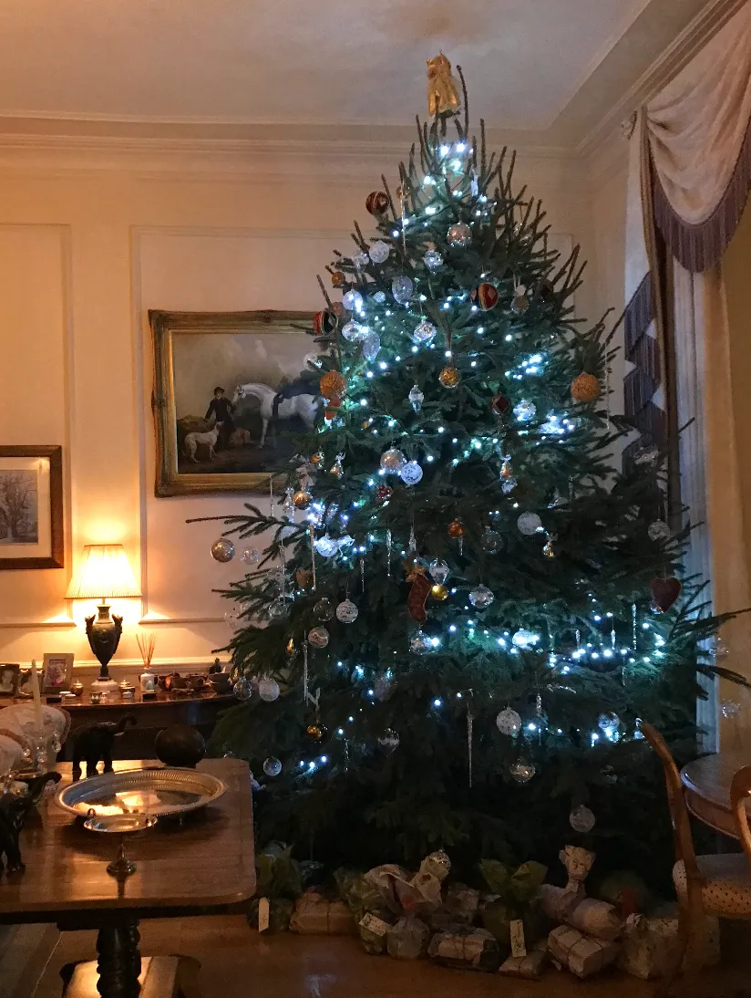 A Time for Traditions — Thyme