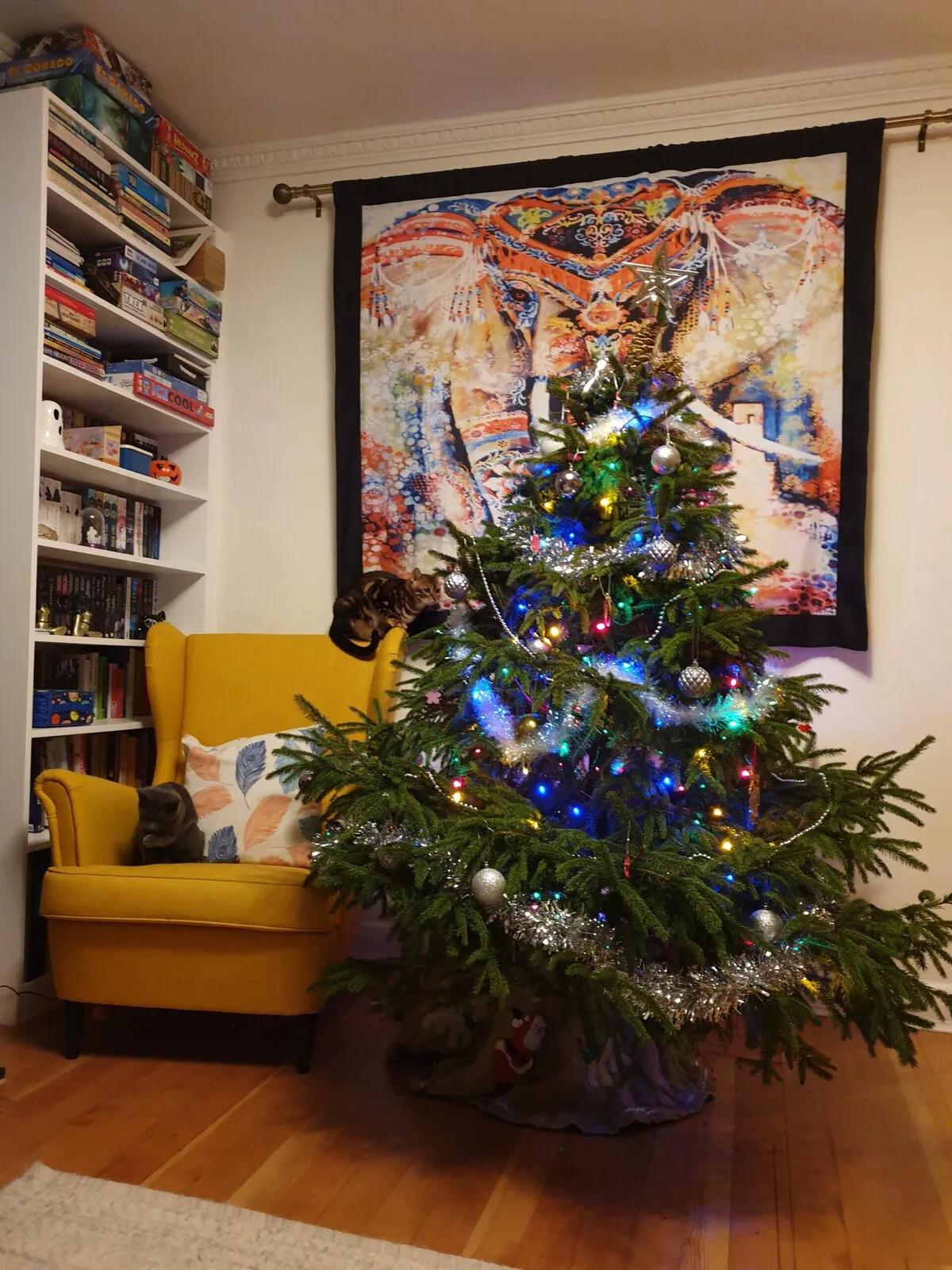 A Tradition That Keeps Christmas Trees Alive