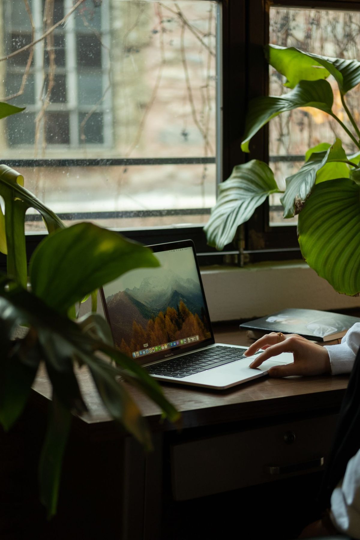A tranquil workspace by a window with lush plants and a laptop, perfect for remote work inspiration.