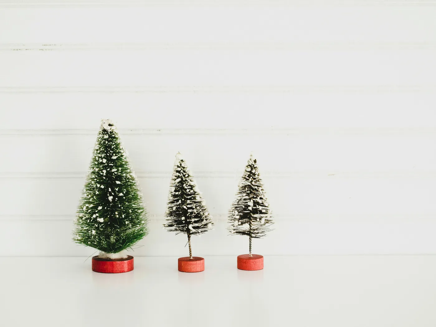 A trio of bottlebrush trees