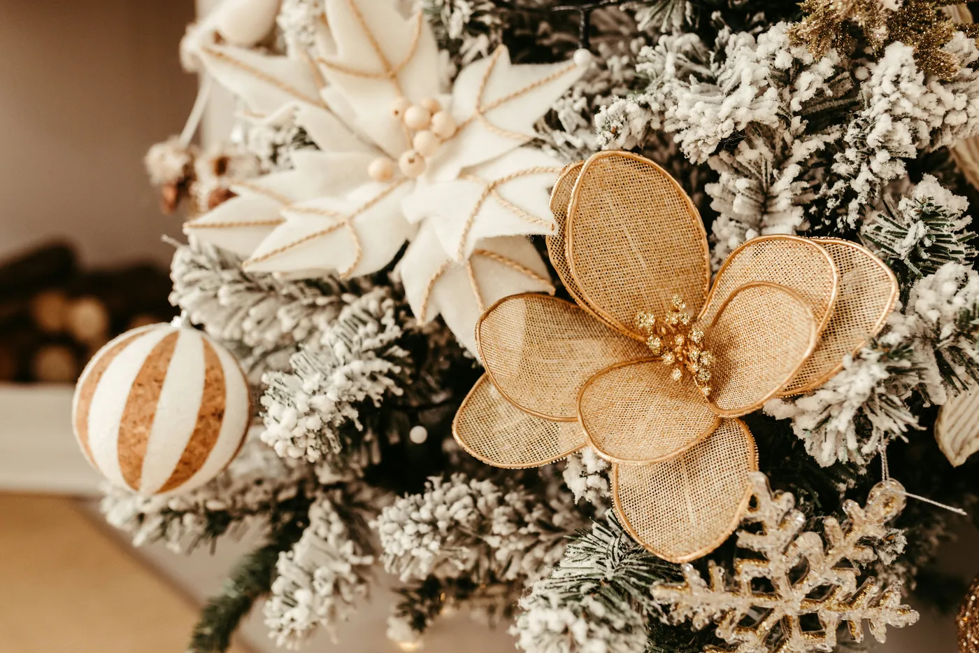 a white flower with a brown center