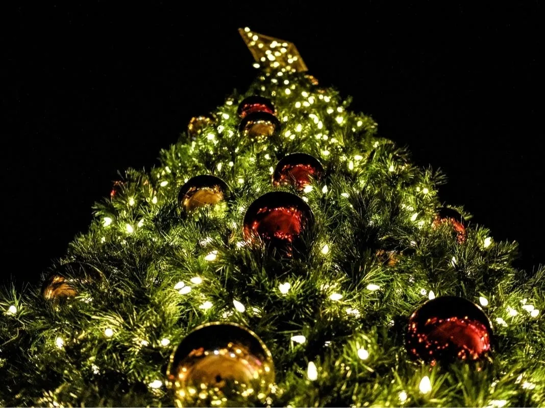 Annual Tree Lighting Lights Up Park Slope For Small Business Saturday | Park Slope, NY Patch