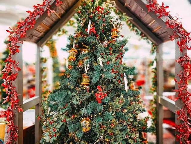 ASTM E3082-20: Christmas Trees Fire Retardant Treatments - The ANSI Blog