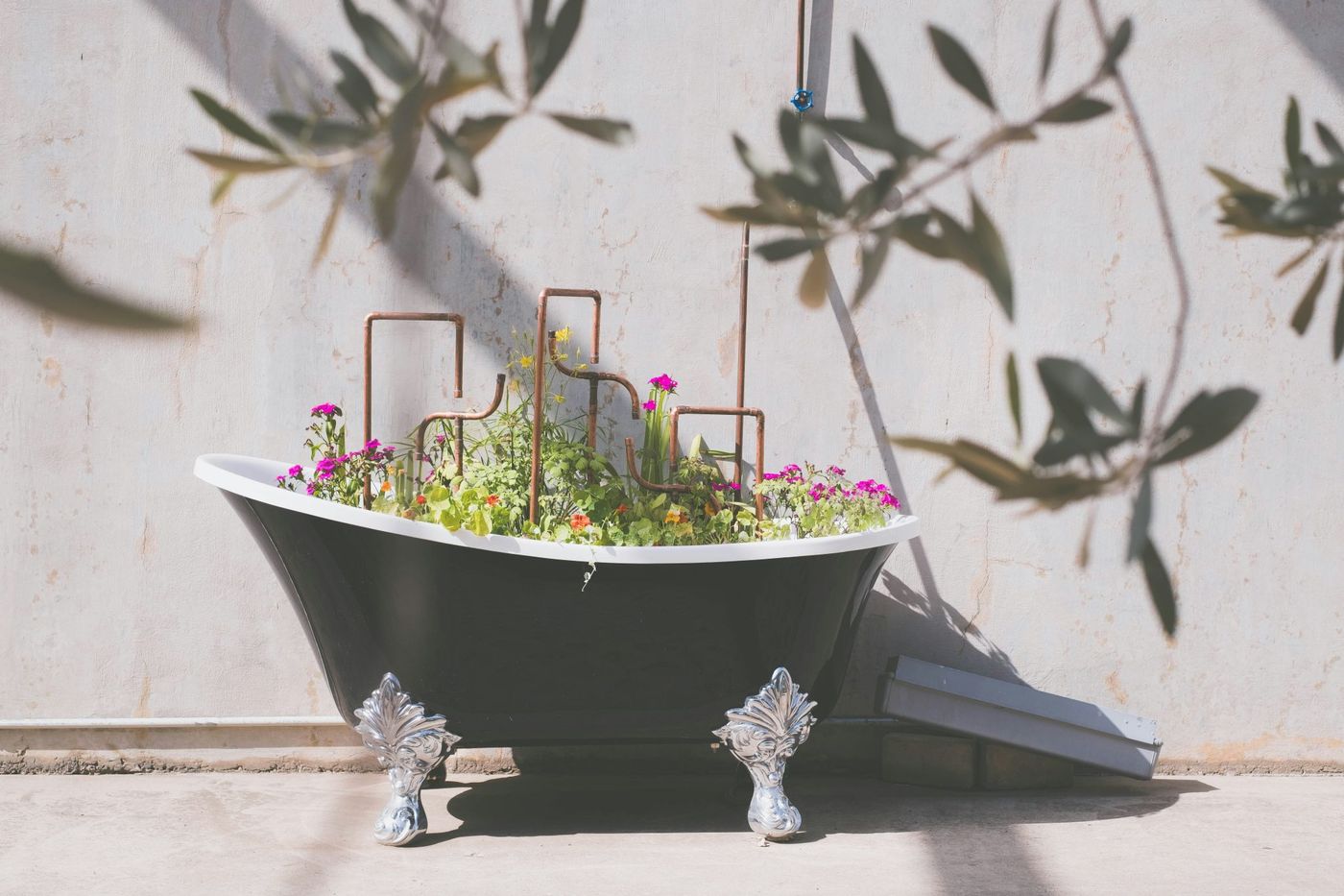 Bathtub repurposed as a unique planter