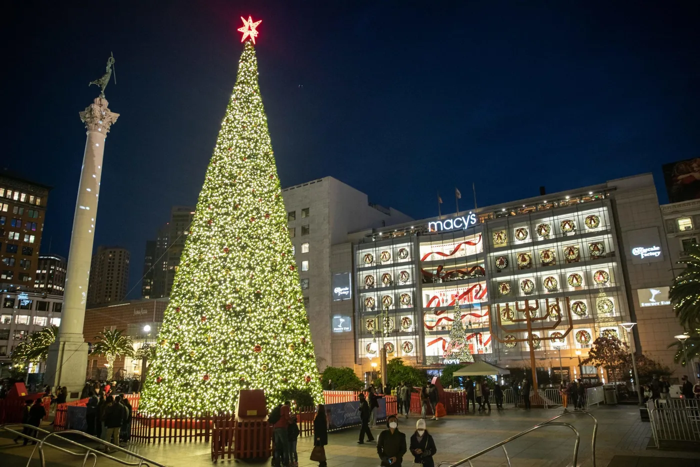 Bay Area holiday lights: 17 dazzling displays of winter wonder | The San  Francisco Standard