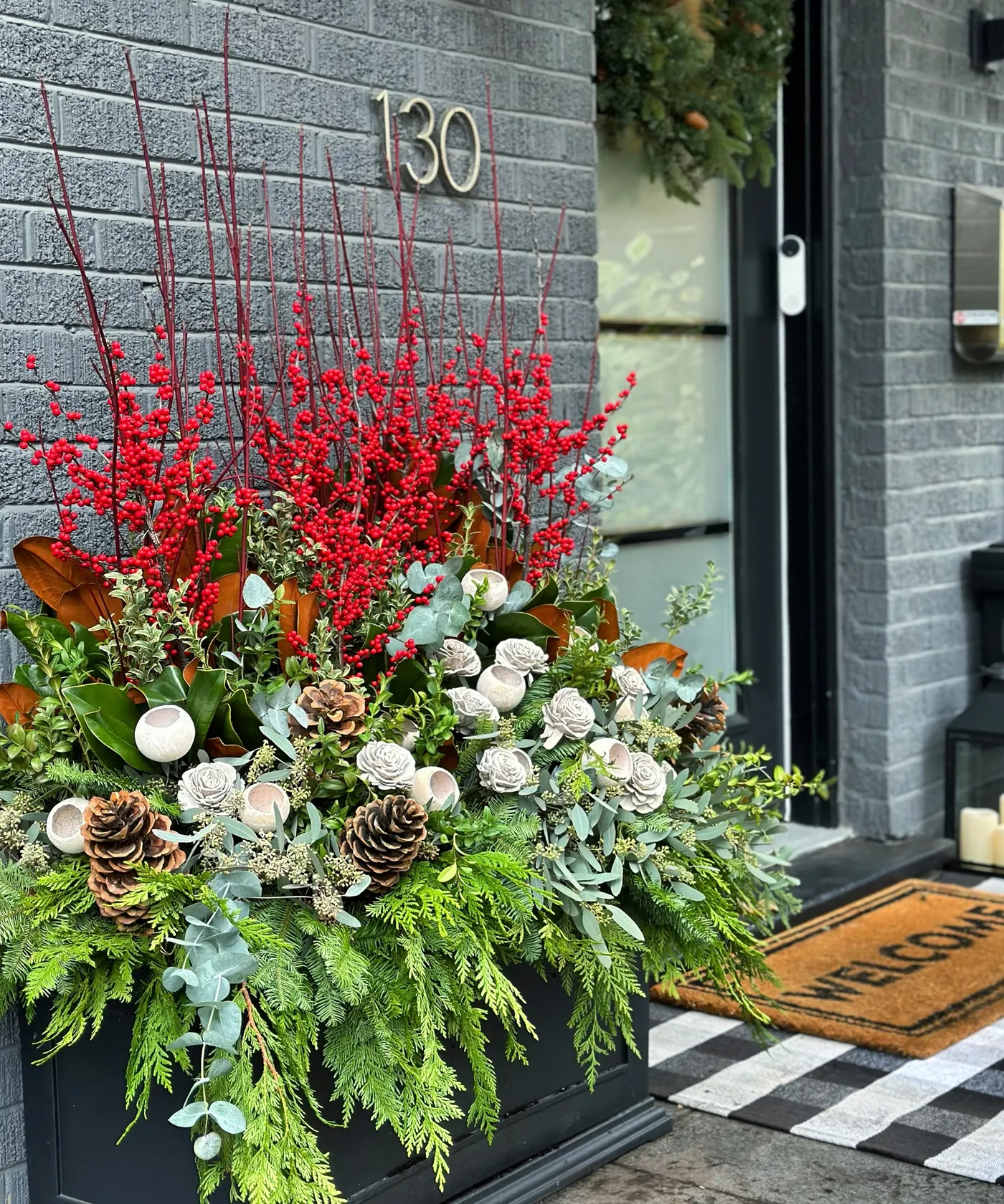Best holiday houseplants – 7 plants ideal for festive decor that aren't all  Christmas cacti