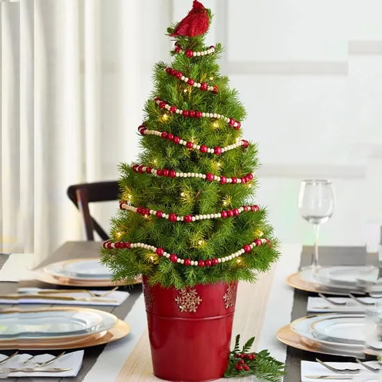 Best Live Tabletop Christmas Trees | 2022 | PS Home