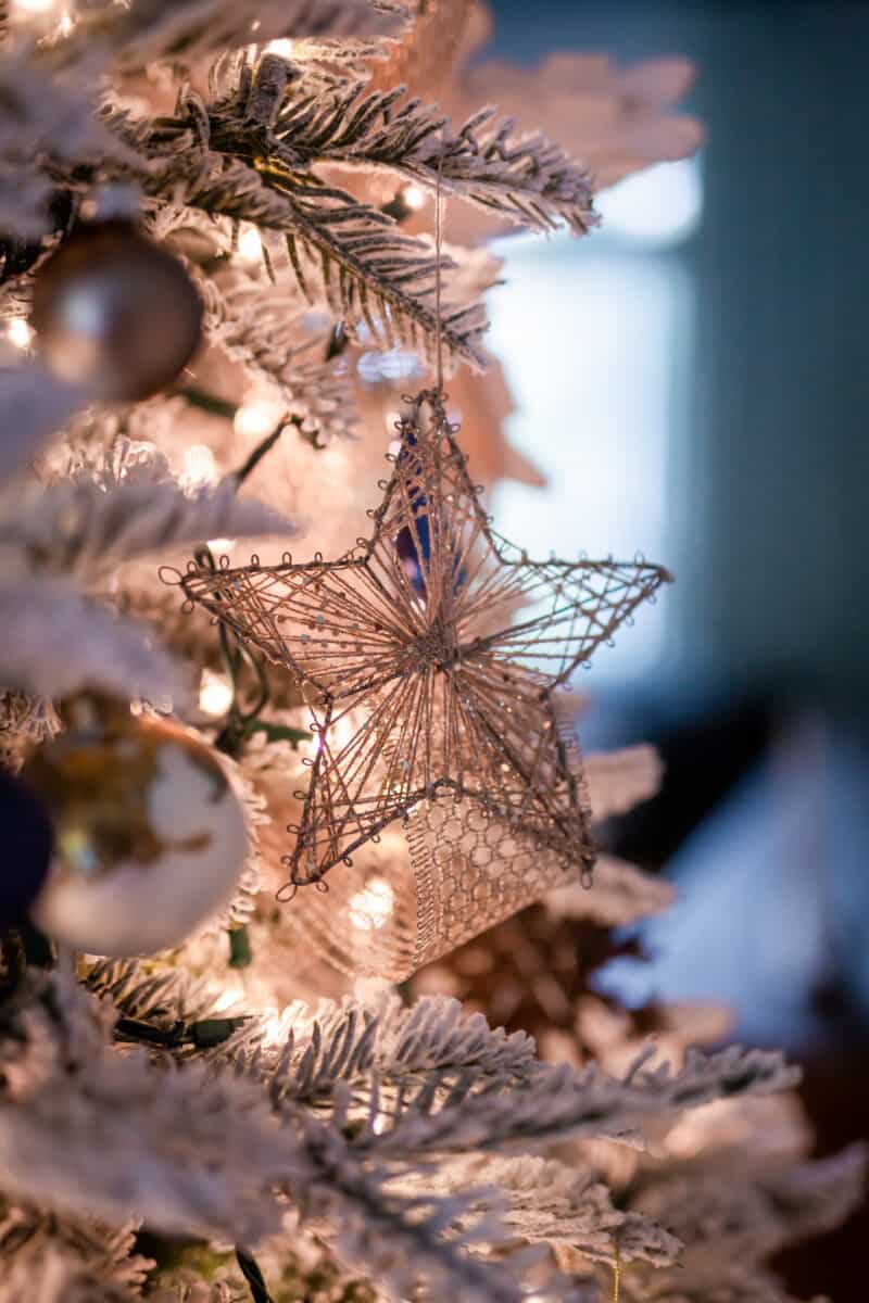 Blue and Gold Christmas Decorations -