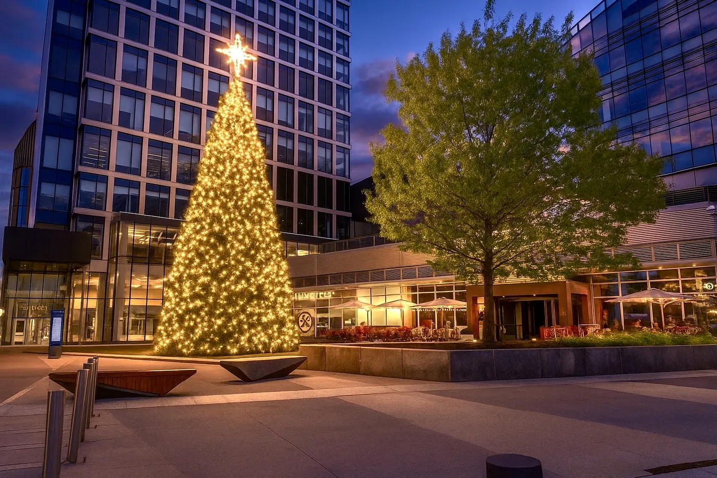 Boston Landing Tree Lighting - Brighton Main Streets