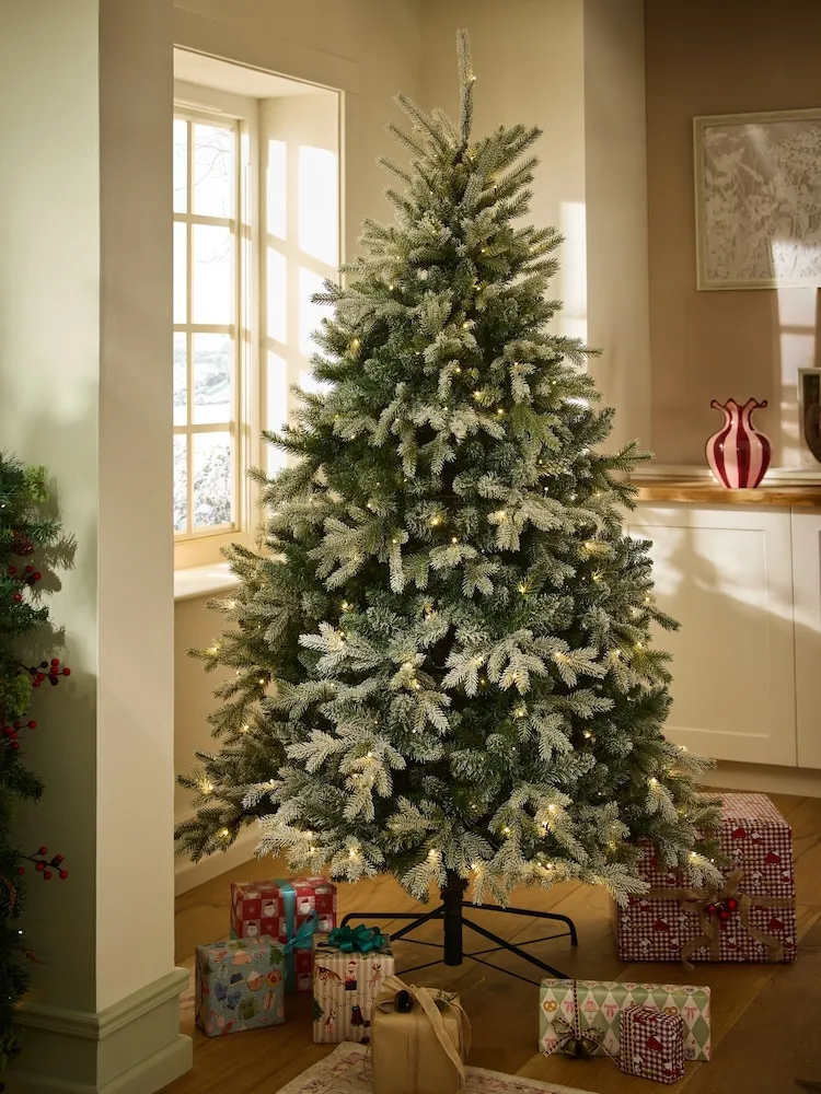 Buy Snowy Nordmann Fir 7ft Pre Lit Christmas Tree from the Next UK online  shop