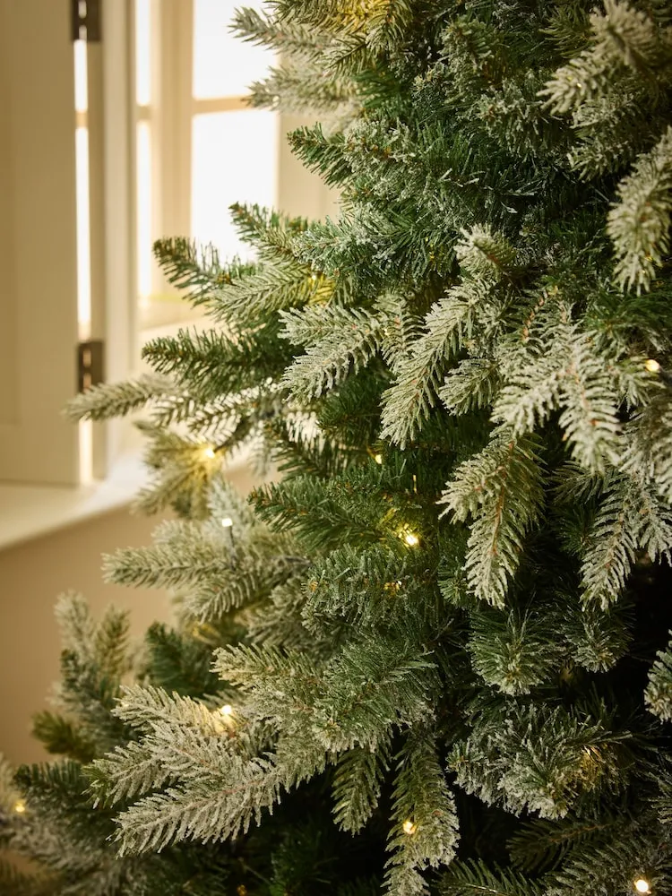 Buy Snowy Nordmann Fir 7ft Pre Lit Christmas Tree from the Next UK online  shop