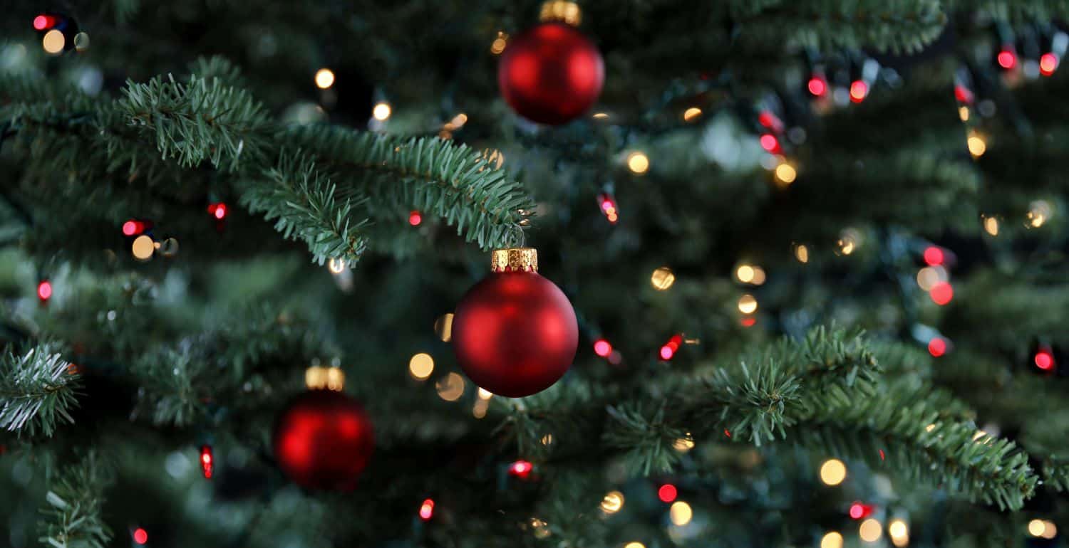 Caring for Christmas Trees: How to Keep Your Tree Alive Longer