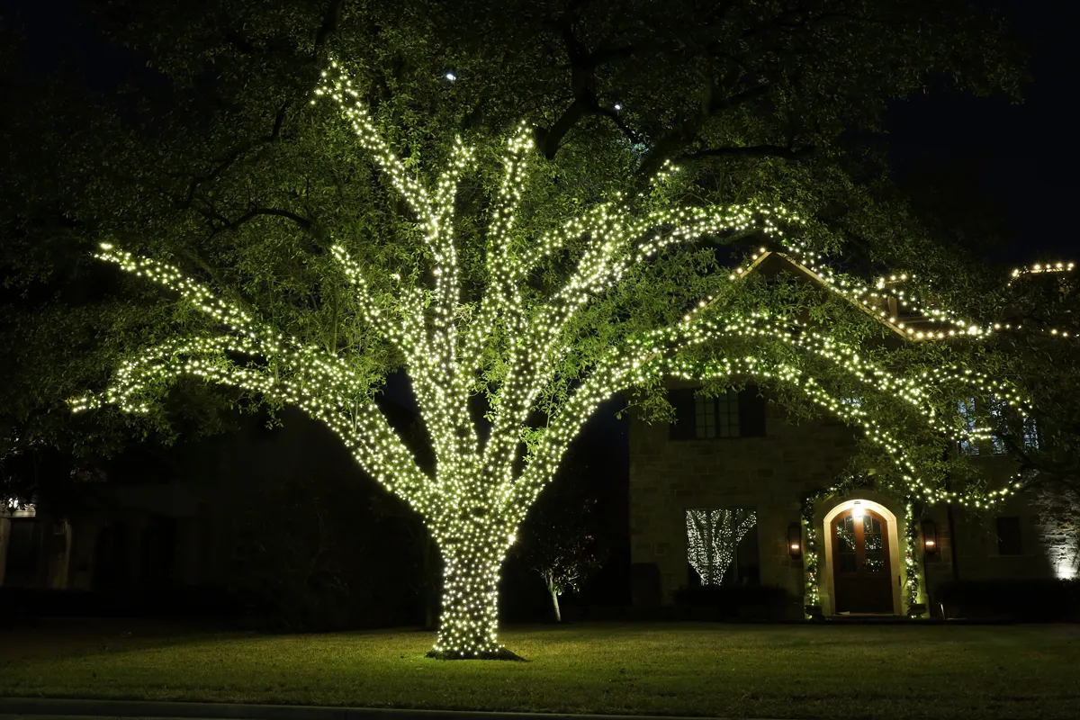 Category: Christmas - Elegant Glow Lighting