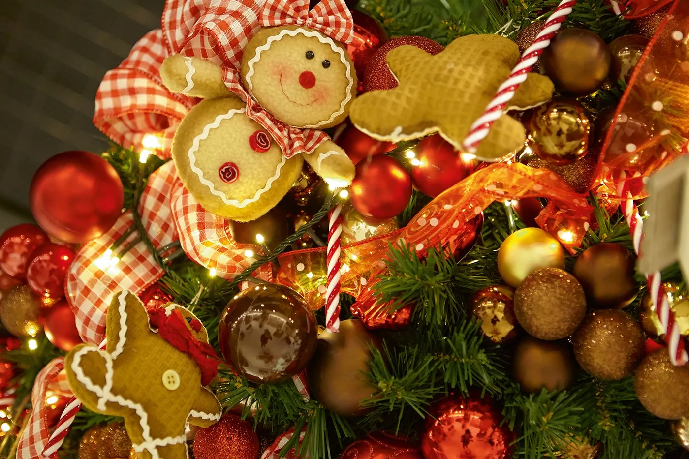 Christmas 2026 Coming Soon : Premier Decorations