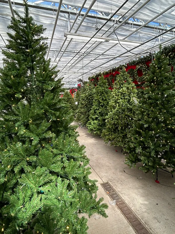 Christmas: A Family Tradition
