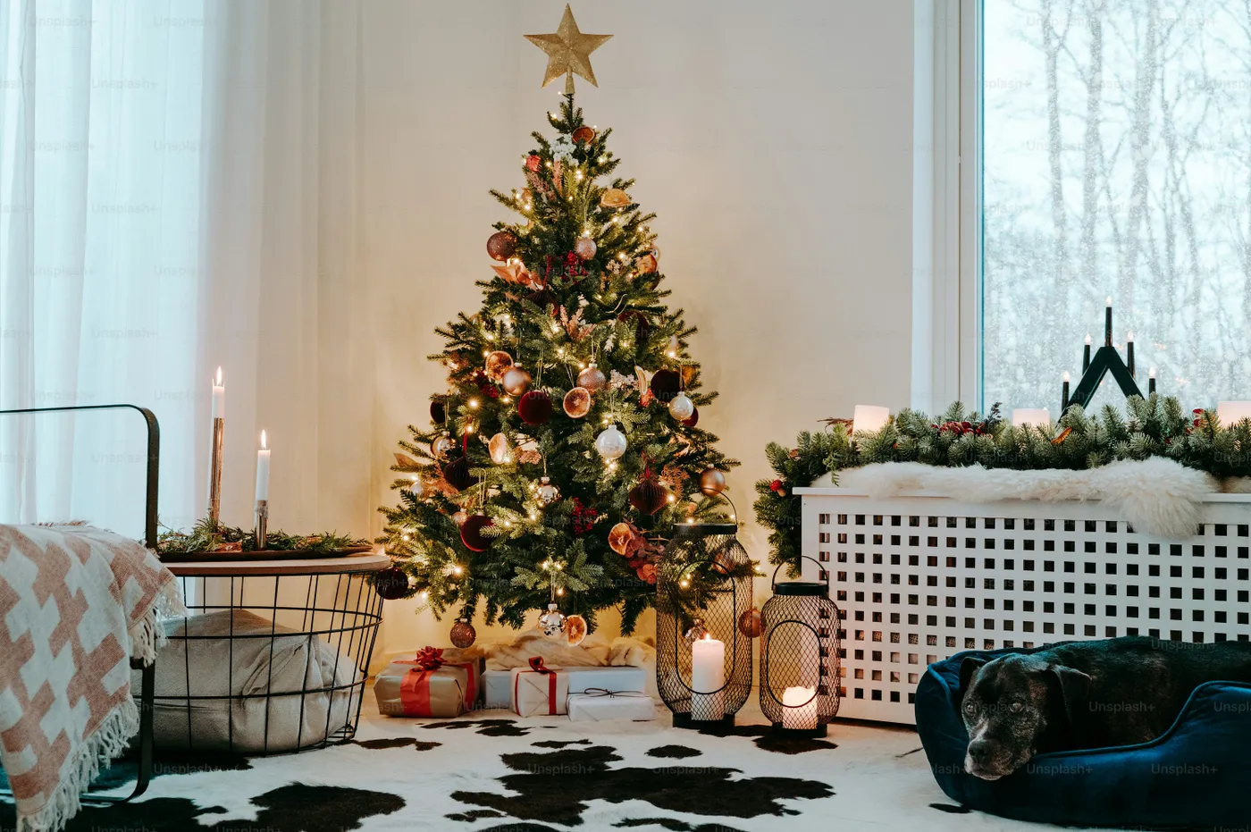 Christmas Decorating Pictures | Download Free Images on Unsplash
