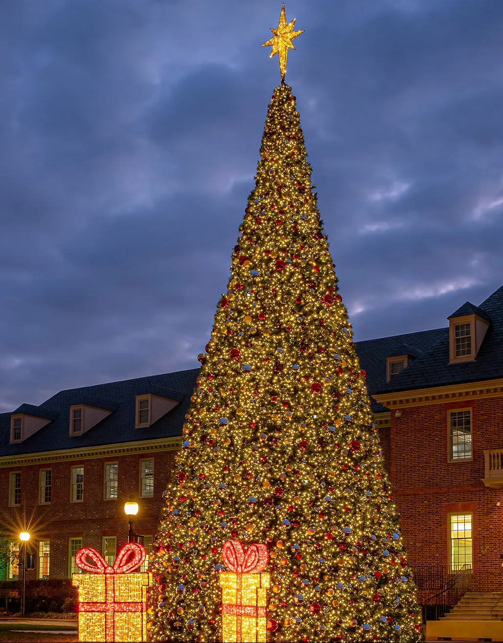 Christmas Decorations for Shopping Centers and Malls