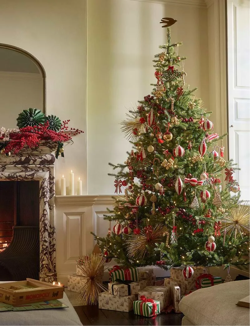 Christmas Decorations & Luxury Festive Accessories | Cox & Cox