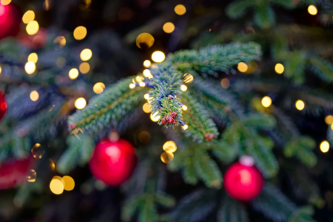 Christmas in Weston - Happy Vermont