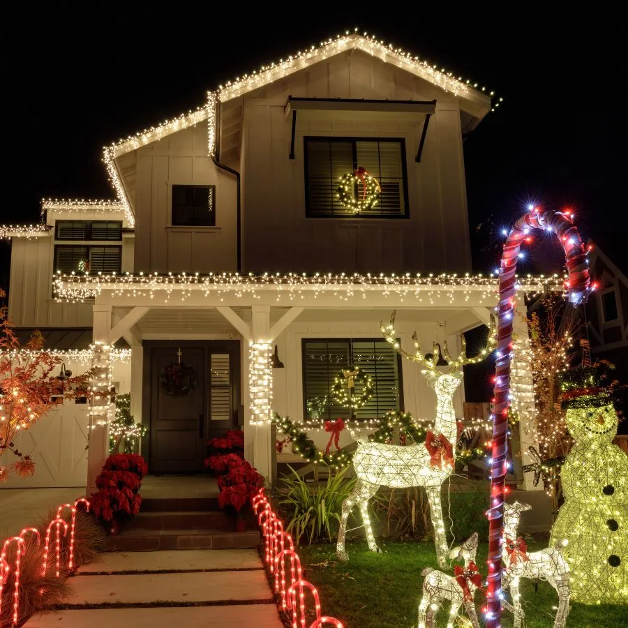 Christmas Lighting | DMD Smart Outdoor Lighting
