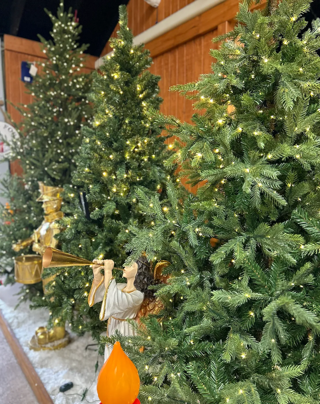 Christmas Memories: Sights and Sounds of Joy - Garden World