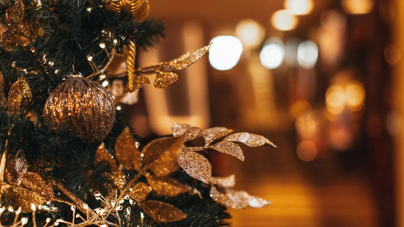 Christmas Offer + 5-star Hotel