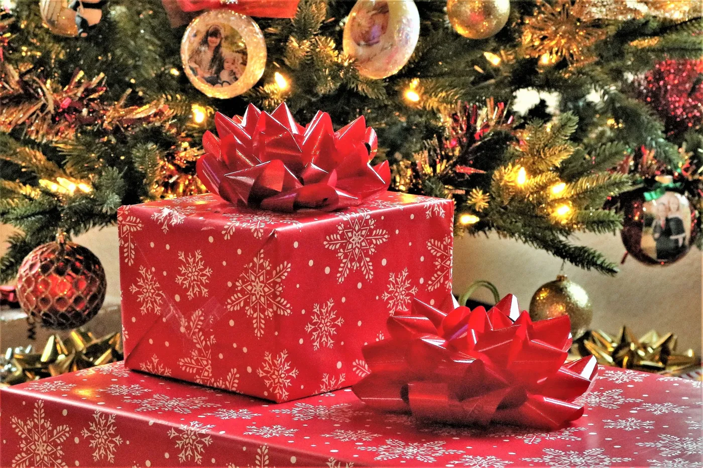Christmas Presents Under Tree – Free Public Domain Image | Public Domain Pictures