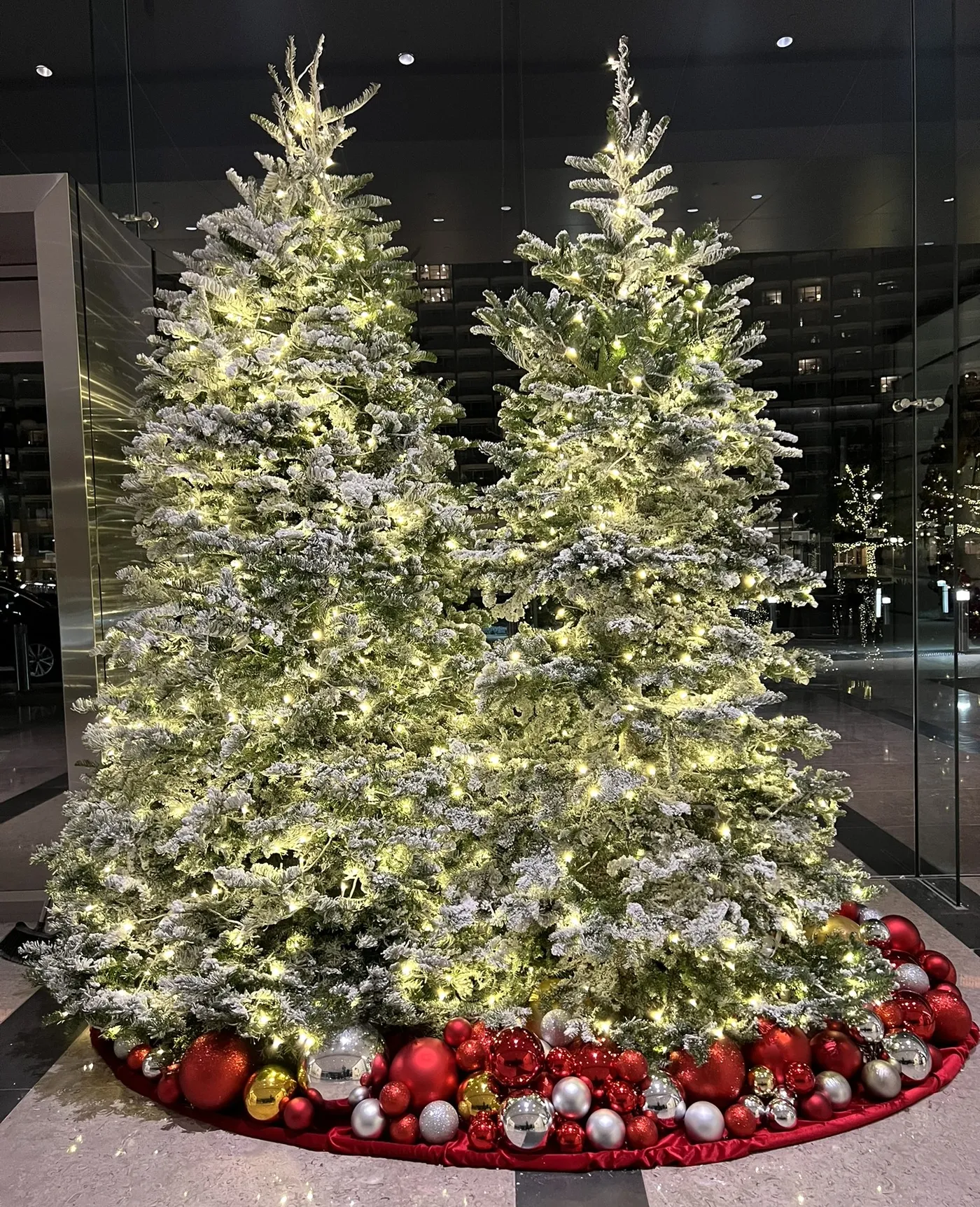 Christmas Projects – Modern Floristry