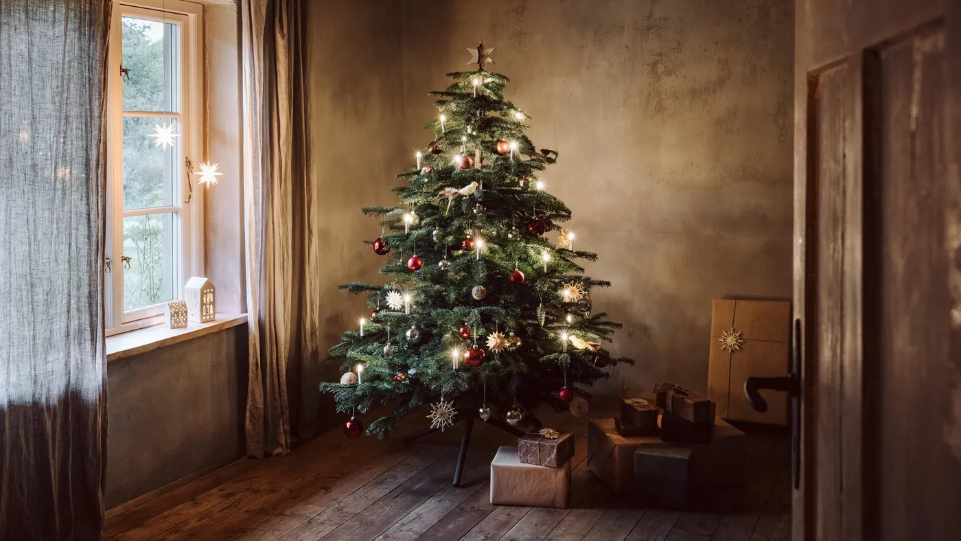 Christmas Tree Alternatives? Here Are 4 More Sustainable Choices Instead of  the Classic Fir | AD Middle East
