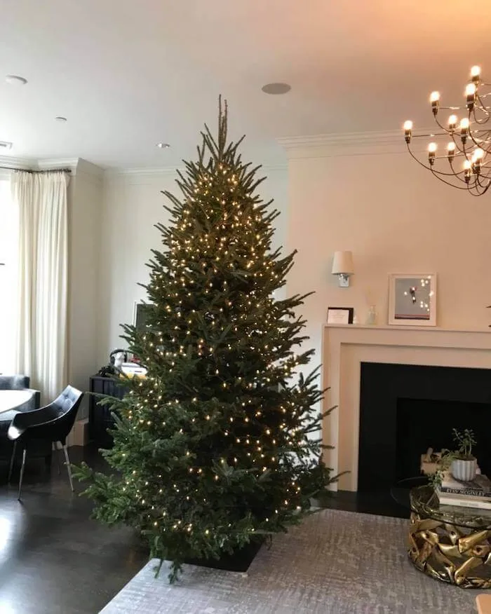 Christmas Tree For Me: Knock, Knock, Your Fresh-Cut, Premium Tree is Here. - Caught In Dot