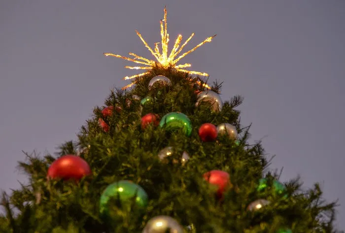 Christmas tree goes up in Port St. Lucie Port District