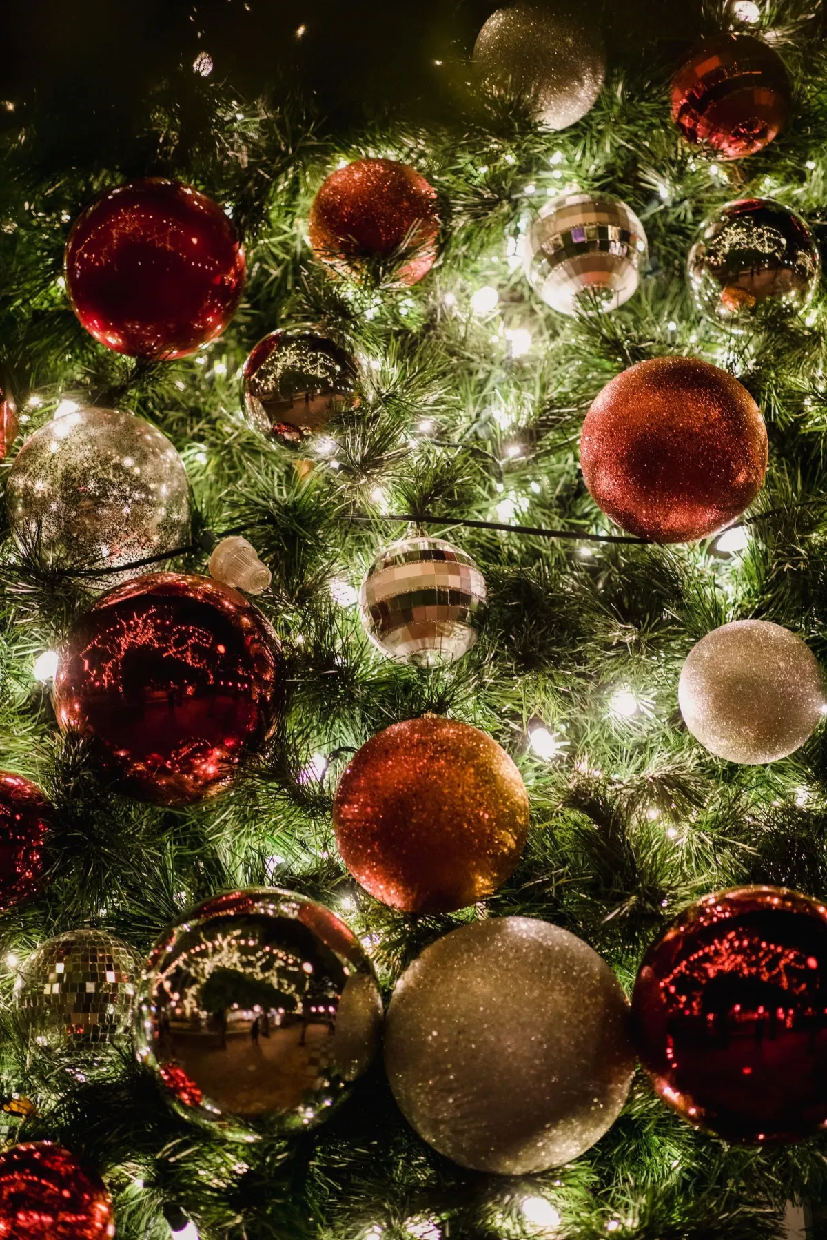 Christmas Trees