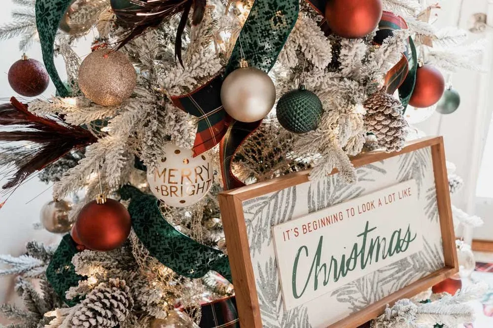 Christmas Trees — Hummingbird Hill Flower Farm