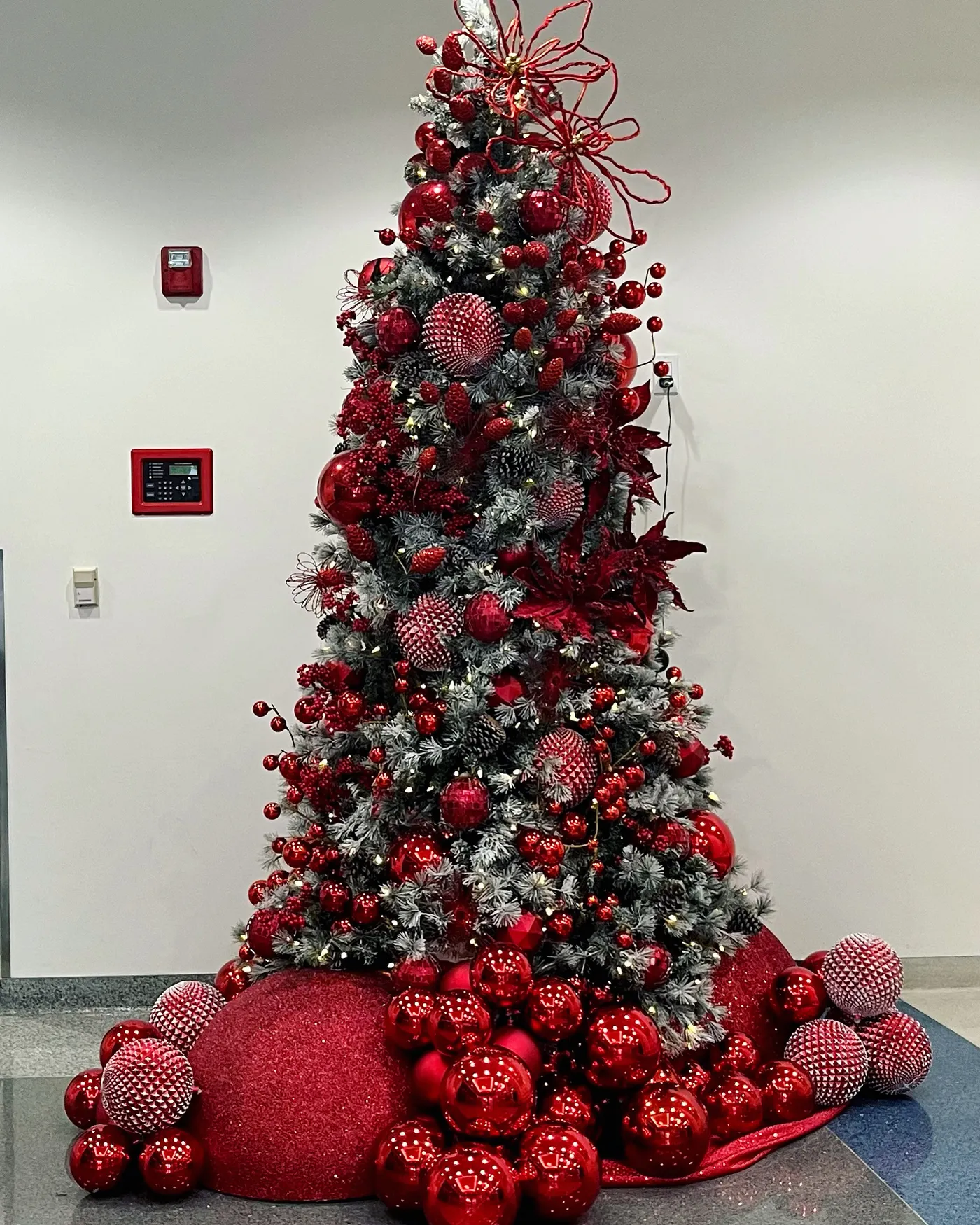 Christmas Trees – Modern Floristry