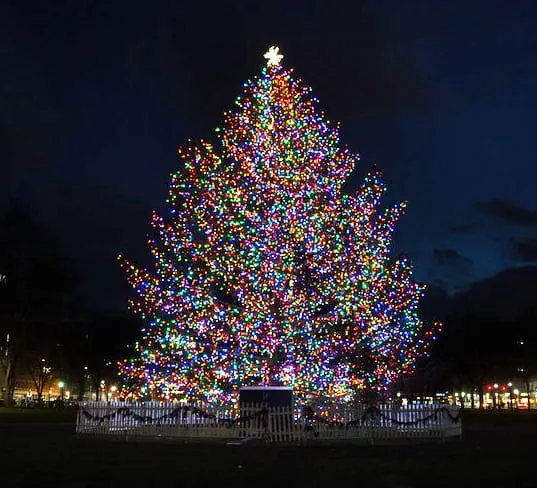 City of New Haven Tree Lighting & Holiday Village - Visit New Haven CT