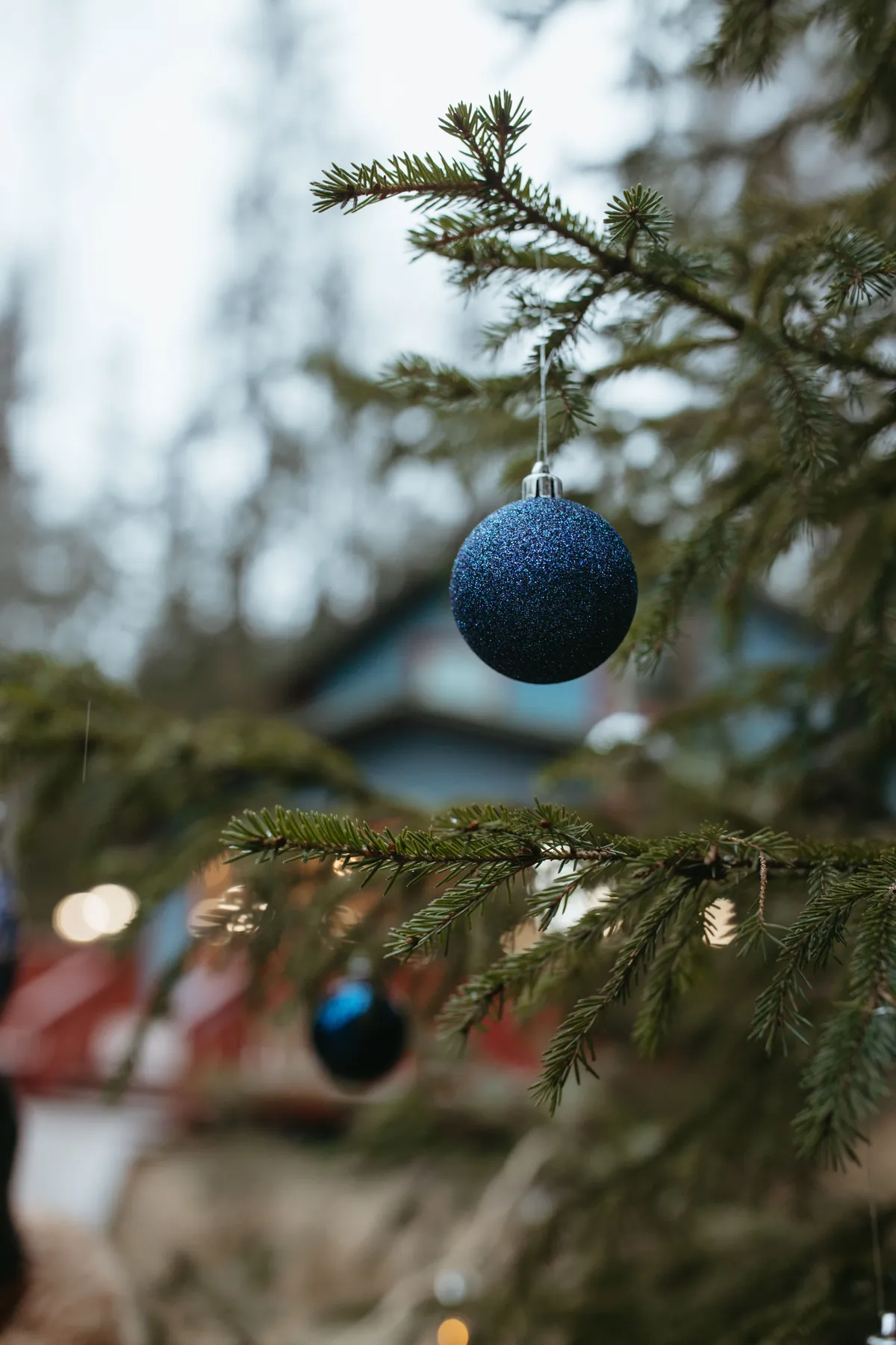 Close-up of a blue Christmas ornament on a tree branch outdoors.