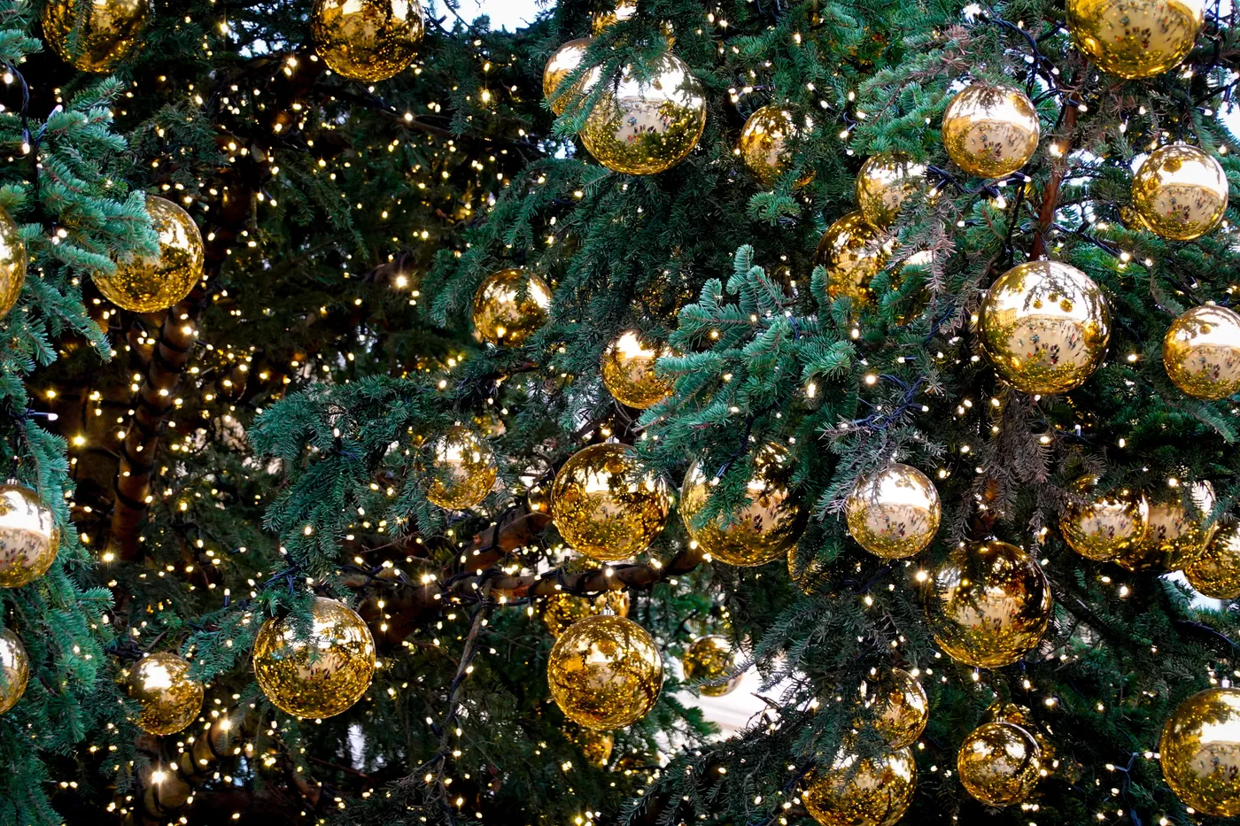 Close-up of a Christmas tree adorned with gold baubles and lights, creating a festive ambiance.