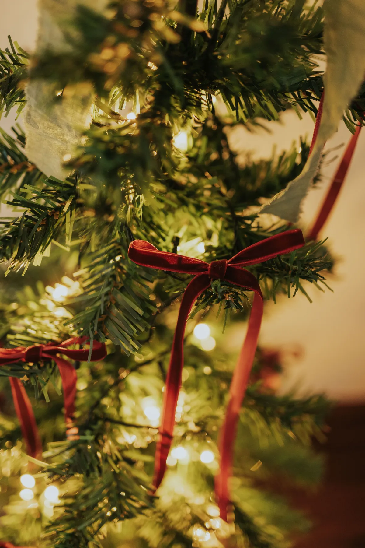 Close-up of a Christmas tree with warm lights and red velvet bows signifies holiday cheer.