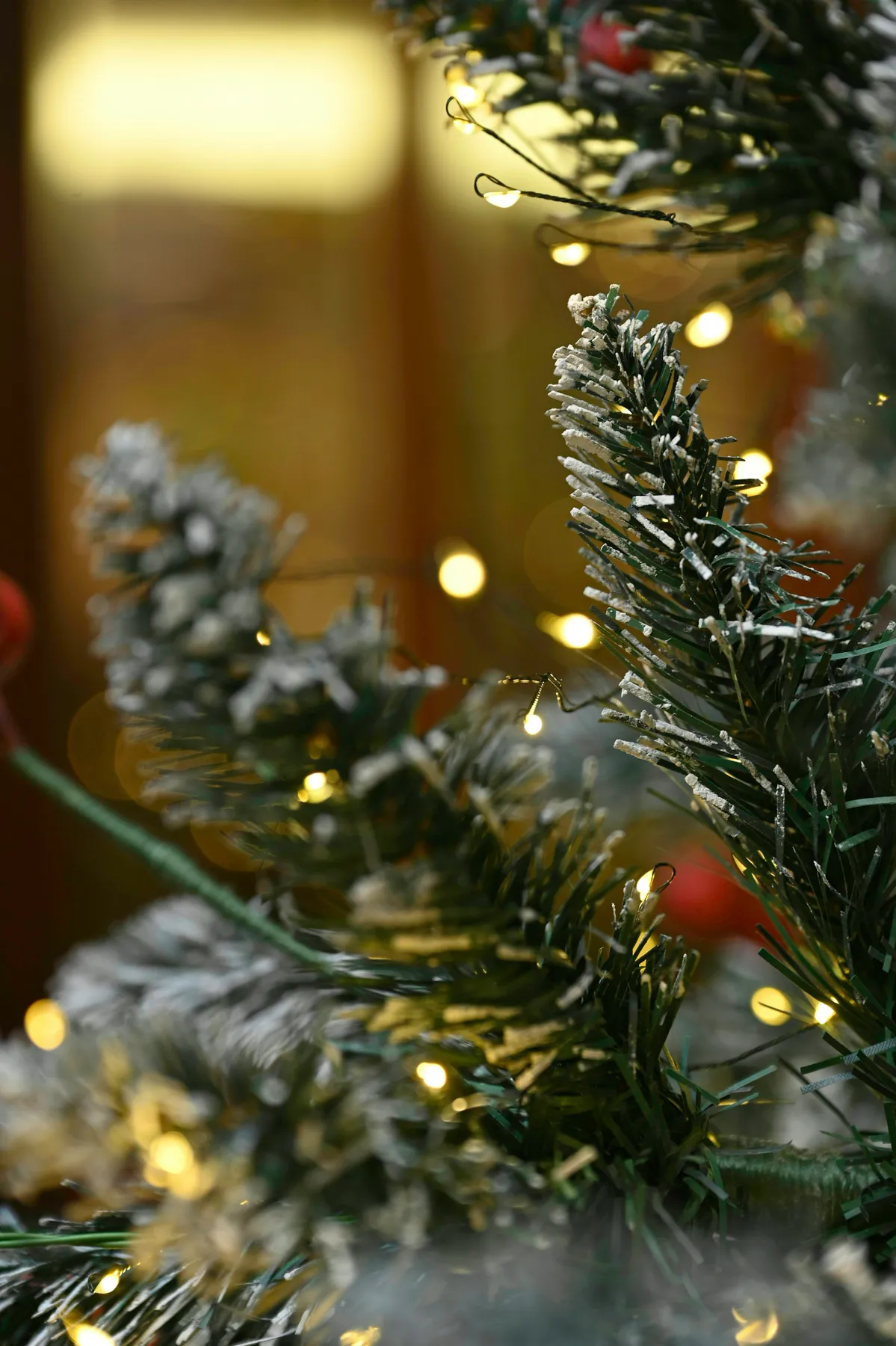 Close-up of a decorated christmas tree with lights - Free Photo on Unsplash