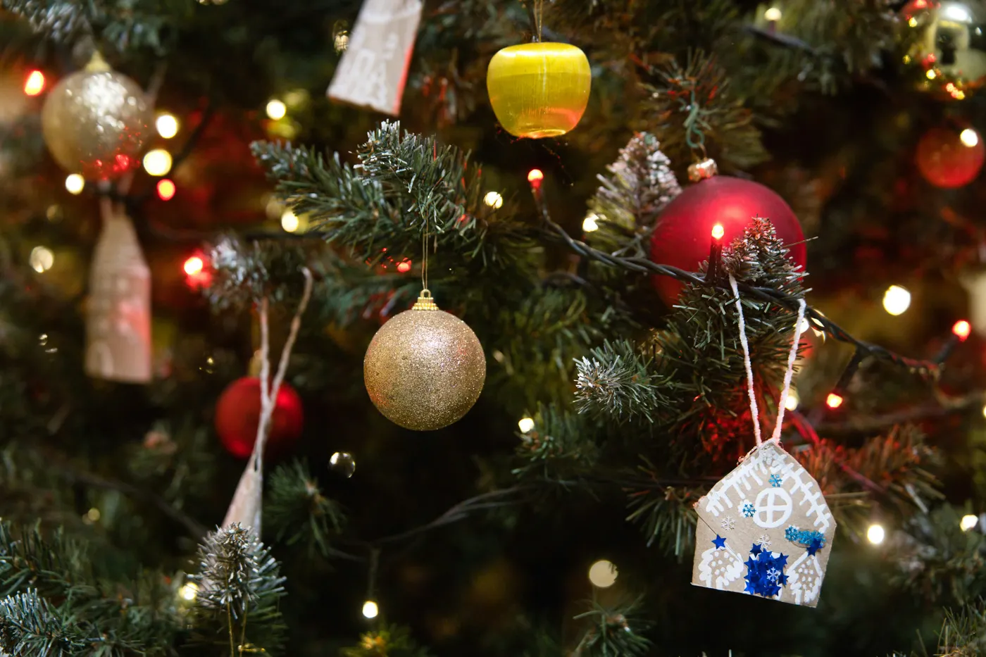 Close-up of a decorated christmas tree with lights - Free Photo on Unsplash