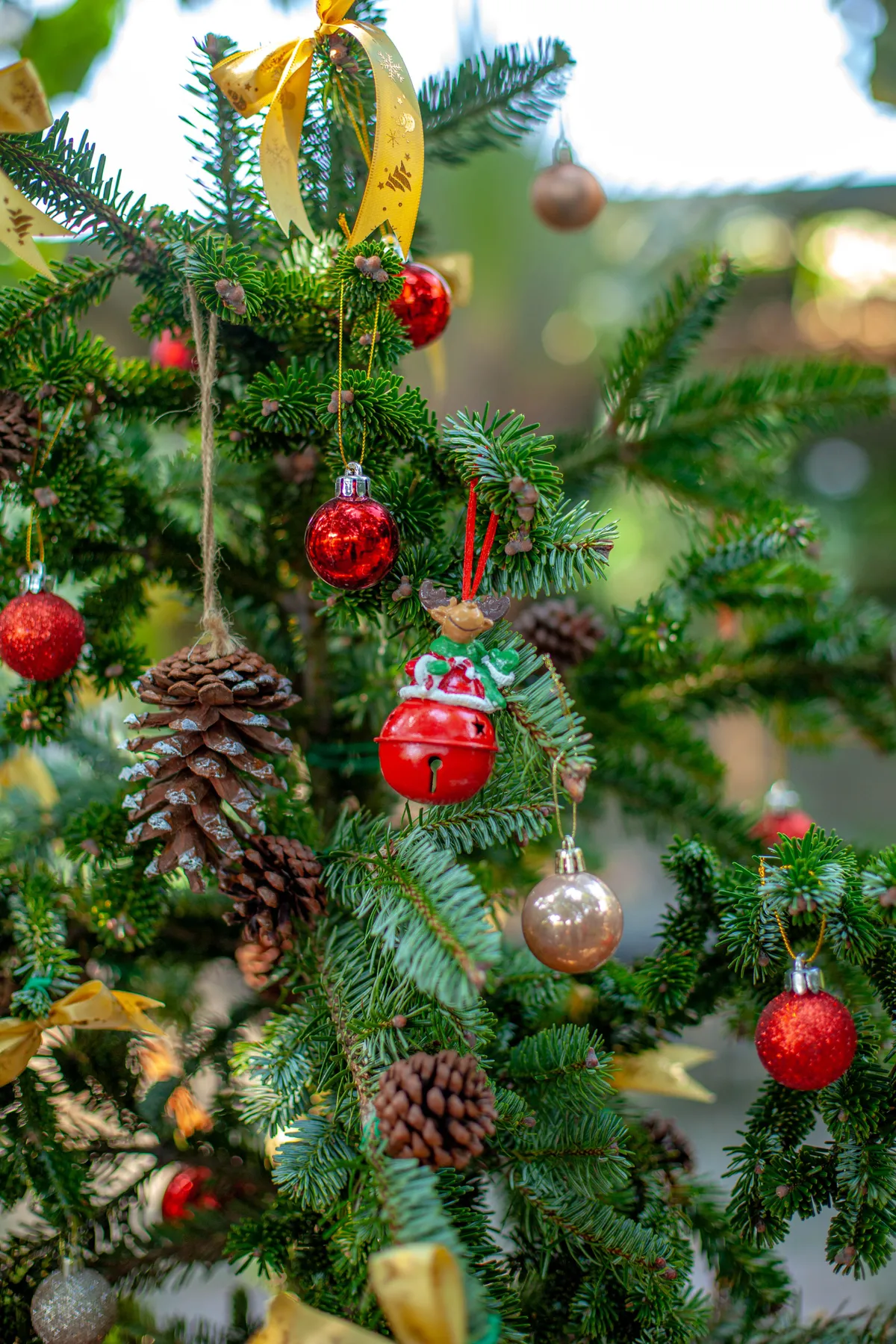 Close-up of a decorated Christmas tree with red ornaments and pinecones outdoors, conveying festive spirit.