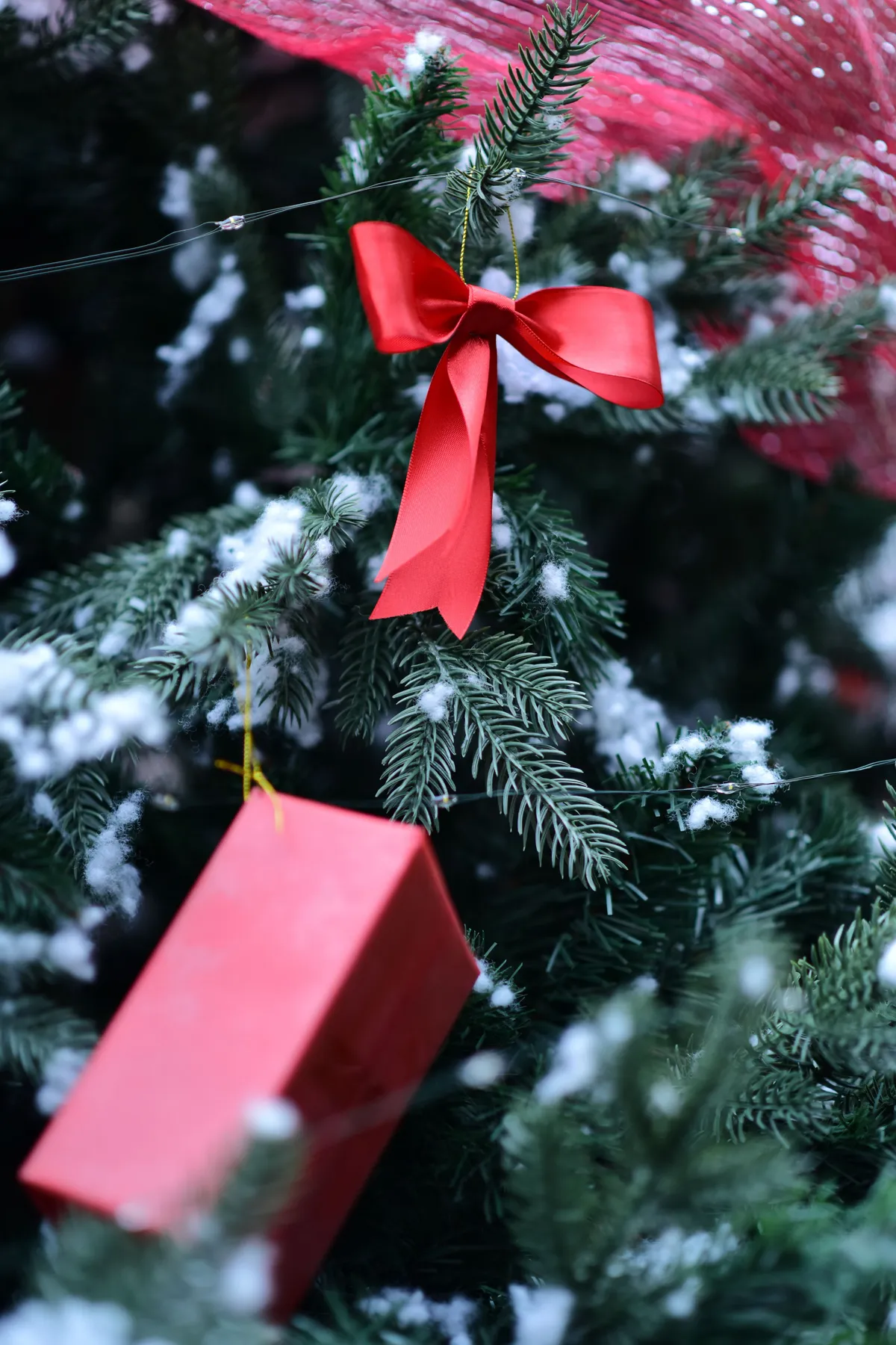 Close-up of a festive red bow and gift box on a snow-dusted Christmas tree branch.