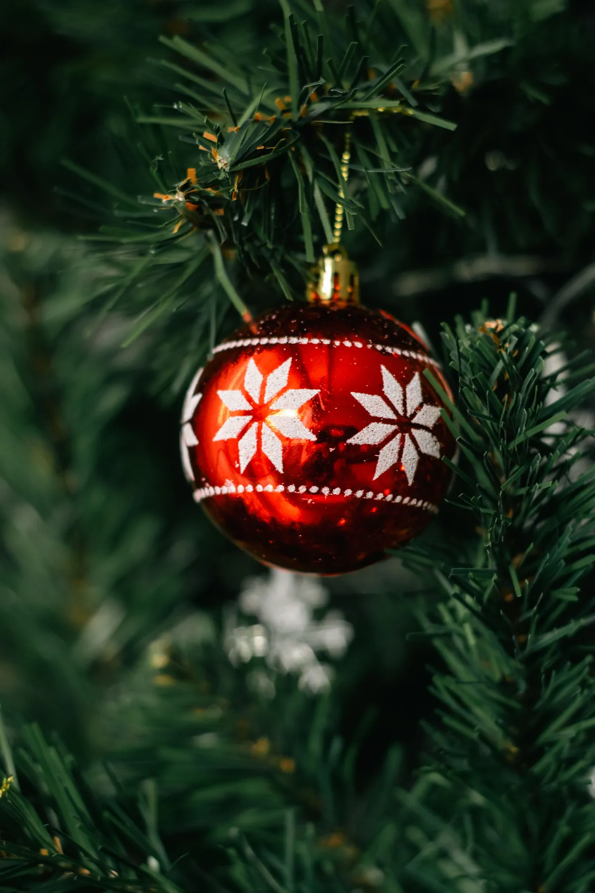 Close-up of a red Christmas ornament hanging on a green pine tree branch, symbolizing holiday spirit.