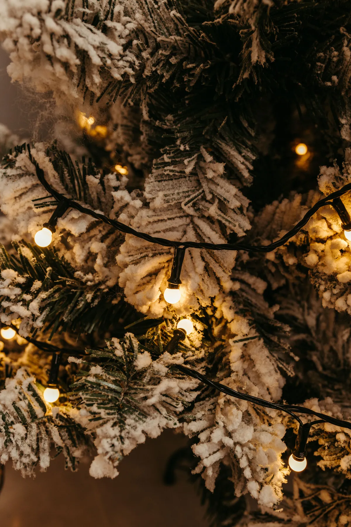 Close-up of a snowy Christmas tree decorated with warm glowing lights.